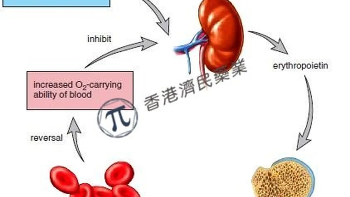 医生与患者讨论用药副作用